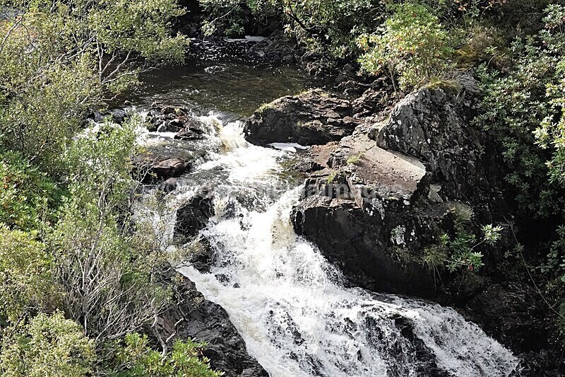 DSC07826 - SEPT 2020 STAYCATION