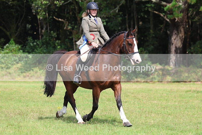 3E7A6043 - Working Hunter Championship