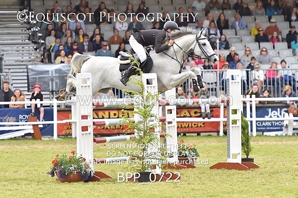 BPP_0722 - RHS 2019 Selection - *Just some random spectator shots so Lucky Dip if you are there!