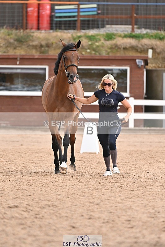 250716-145431-01491 - Trot Up 2.30 to 3.30