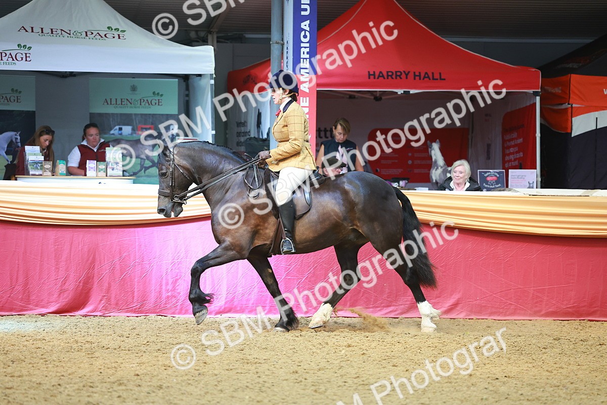 SBM_10681 - Class 103 - HOYS Veteran Qualifier - Ridden Pre Vet
