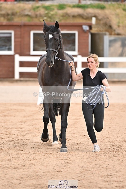 250716-151148-01748 - Trot Up 2.30 to 3.30