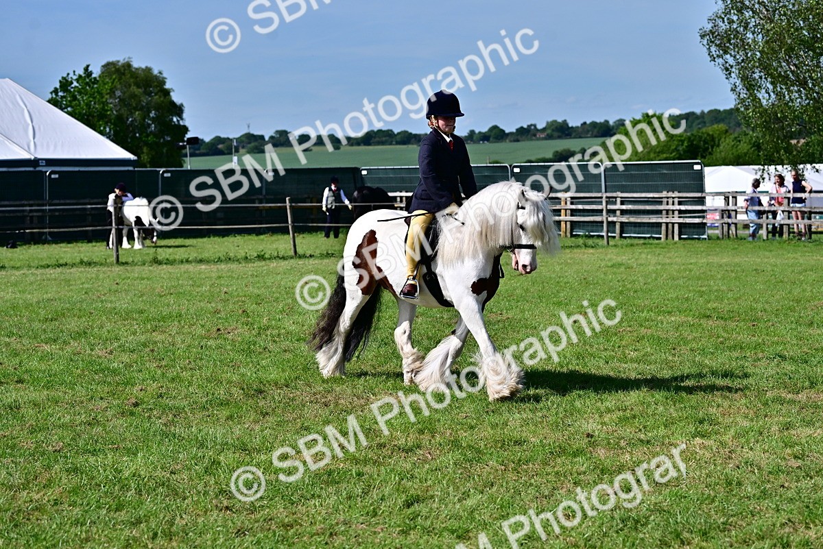 SBM_09399 - Class 63-65 - Traditional Gypsy Cobs In Hand & Ridden