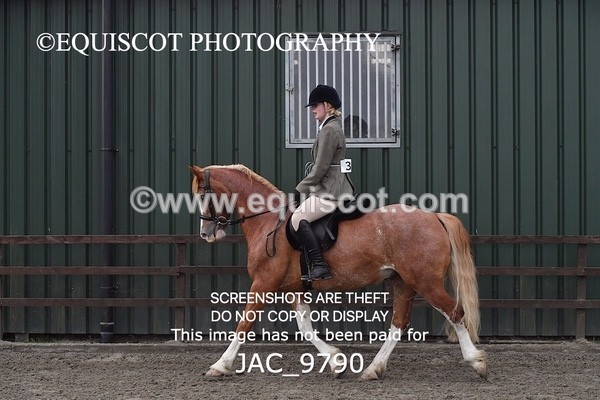 JAC_9790 - CLASS 2 Novice Working Hunter (0.60m - 0.70m)