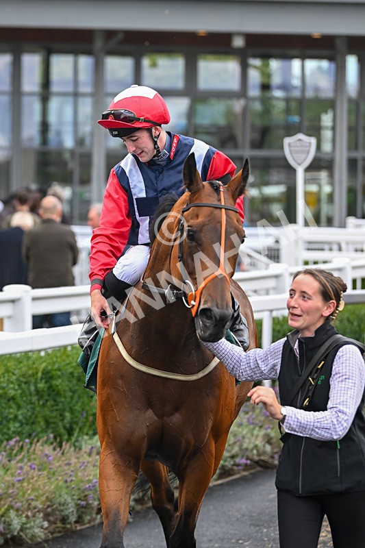 270825-Race 5-Glory Fighter-6547 - Race 5
