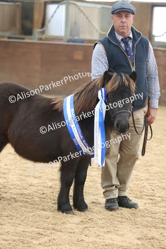 20251109-0138 - Championship