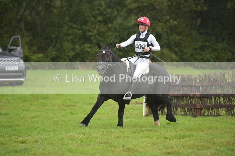 RAY_0178 - Class 4: 80cm: Double of Brushes