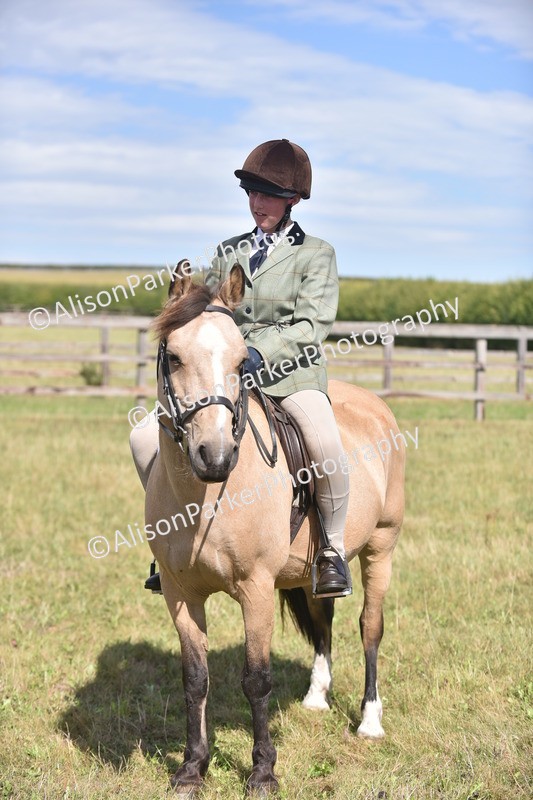 20260906-2676 - Class 12 - 14.2hh and Under