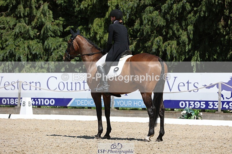 230526-142210-06510 - 373-BENGAL_LORE-Pippa_Taylor-WEDTrotUp+DR