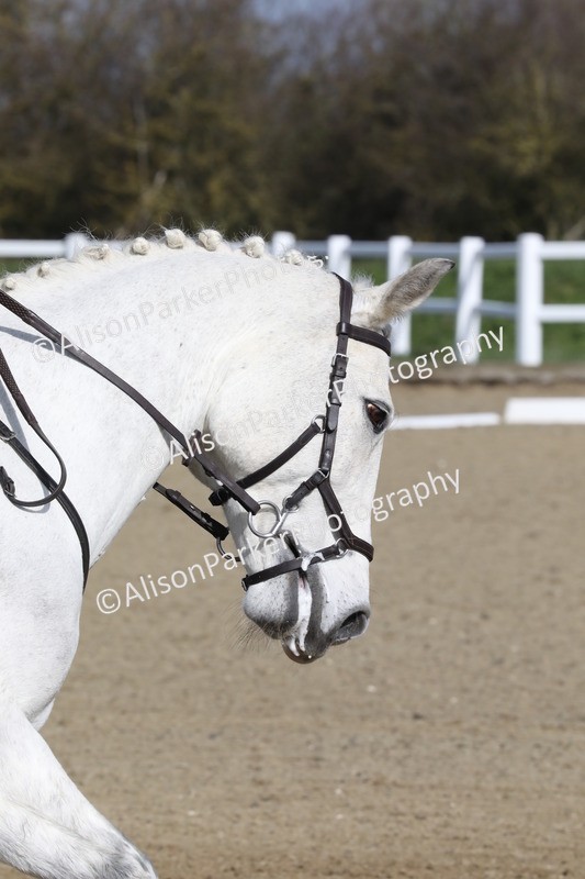 20260314-1771 - CT2 - Prelim 1