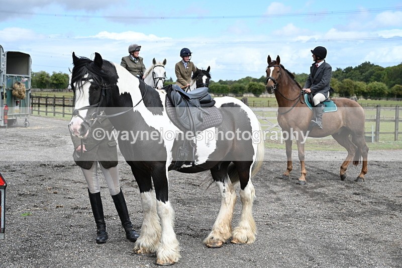 WJ7_6752 - Berks & Bucks at Blandy’s Farm 31-08-25