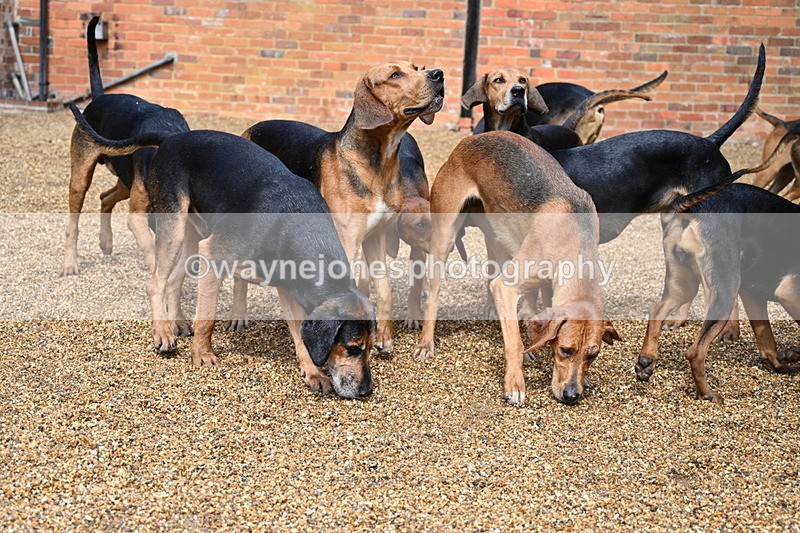 WJ7_7007 - Berks & Bucks at Blandy’s Farm 31-08-25