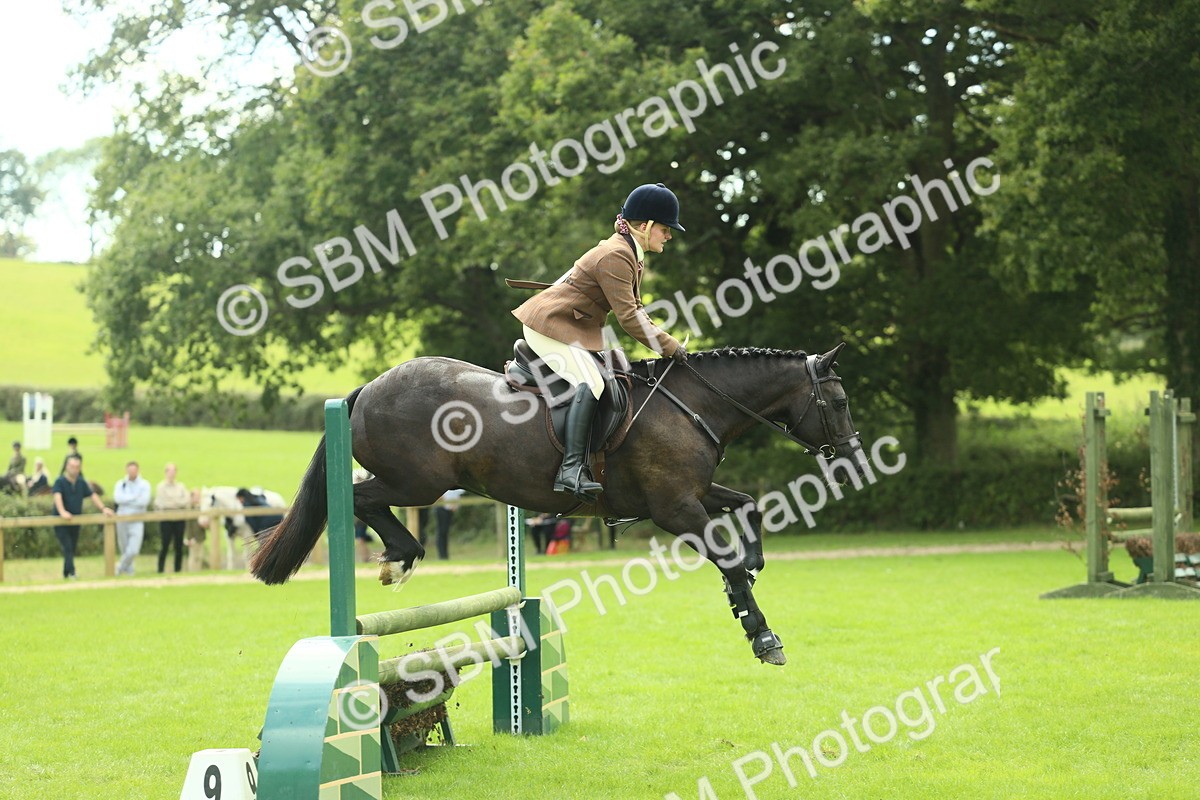 SBM_44783 - S31 - Working Hunter Pony