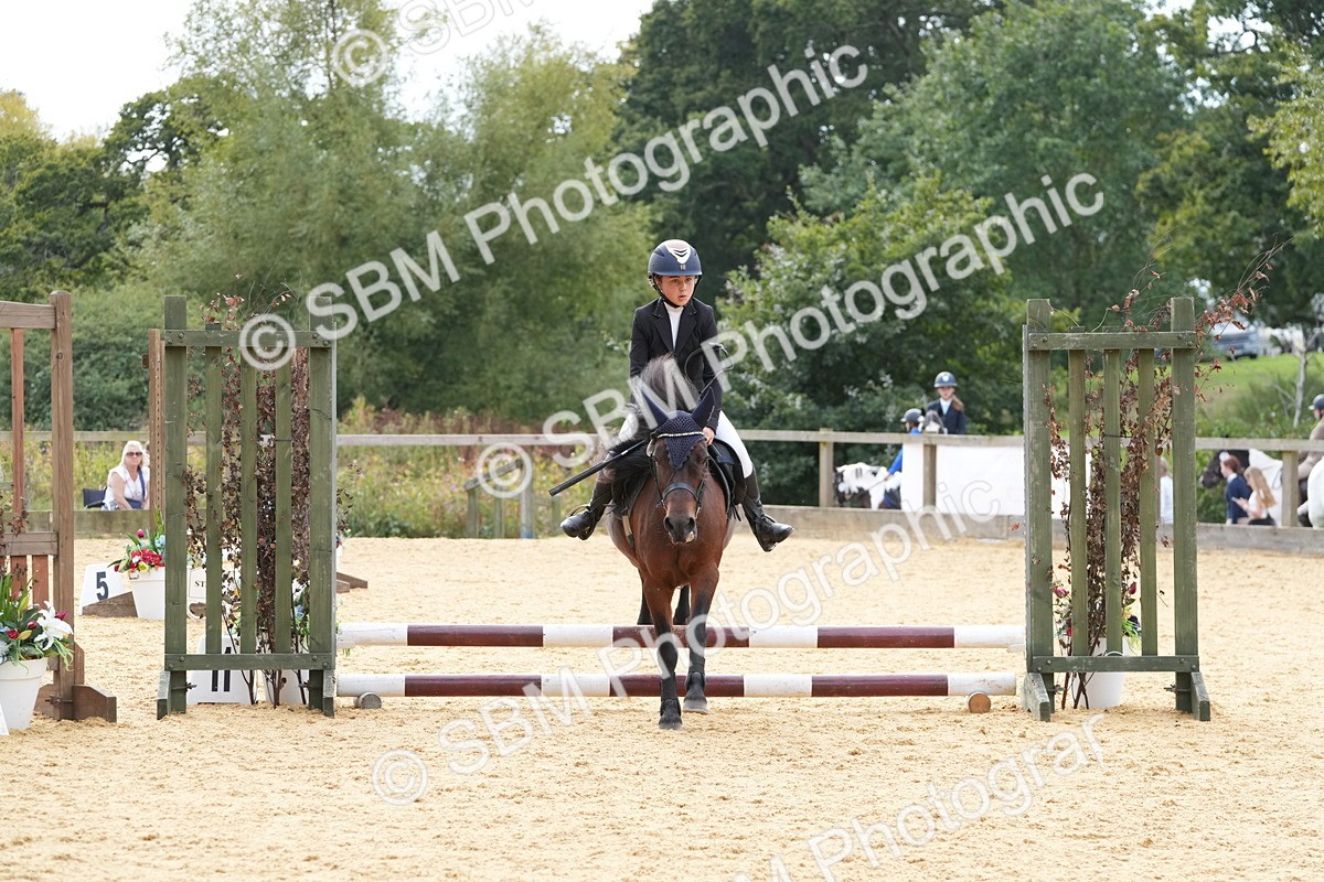 SBM_70595 - J3 - Mini Tour Junior Pony 40cm Championship