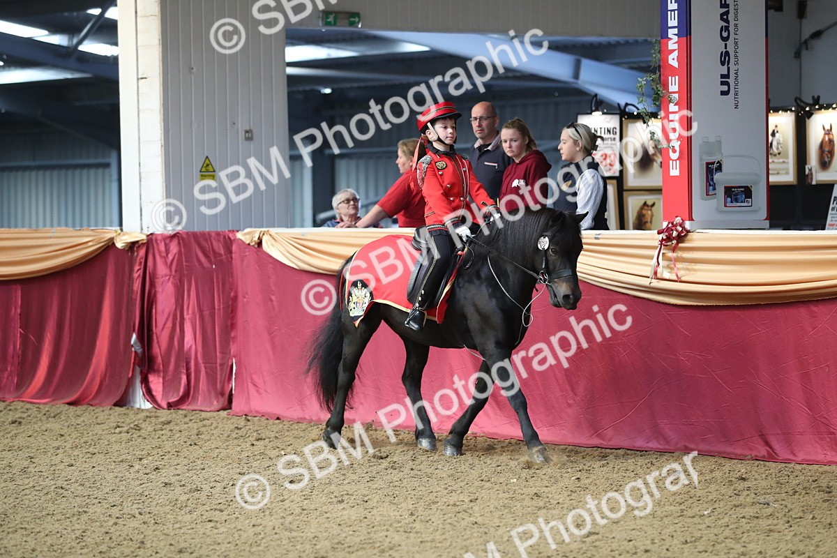 SBM_11246 - Class 104 Ridden Costume - Astride Junior