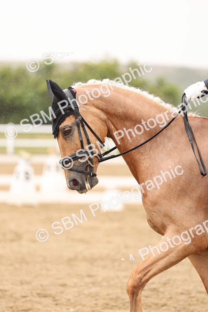 SBM_003612 - Class 6a - Novice 5 - 13.17-14.21