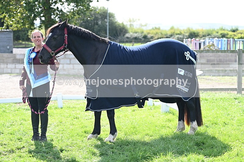 WJ7_1739 - 80cm Champs