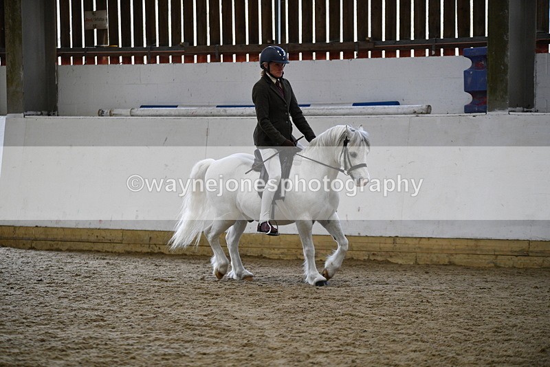 WJ5_6252 - Class 9 Ridden Veteran