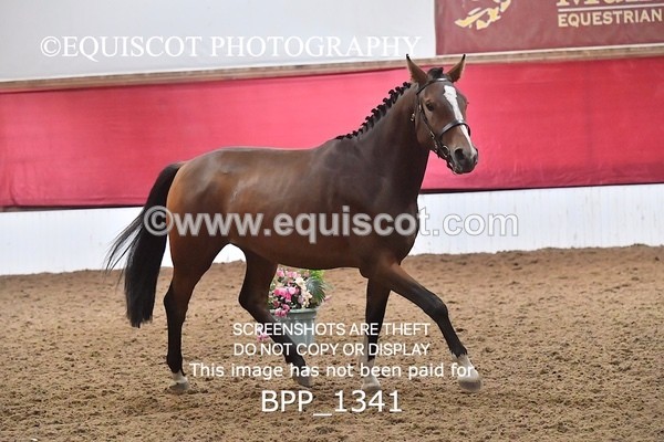 BPP_1341