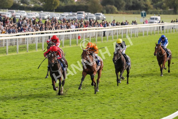 141023-Race 4-Colorada Dancer-0456 - Race 4 3.05pm Coral Racing Club EBF Maiden Stakes