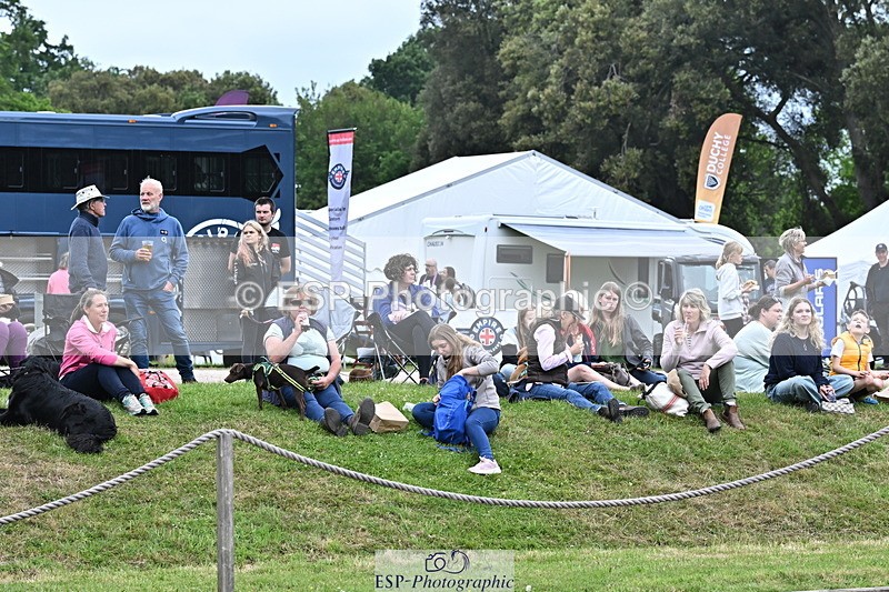 250524A-124331-11028 - Western Counties Crowds