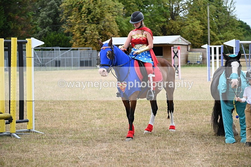 WJ6_9086 - Class 11 Fancy Dress