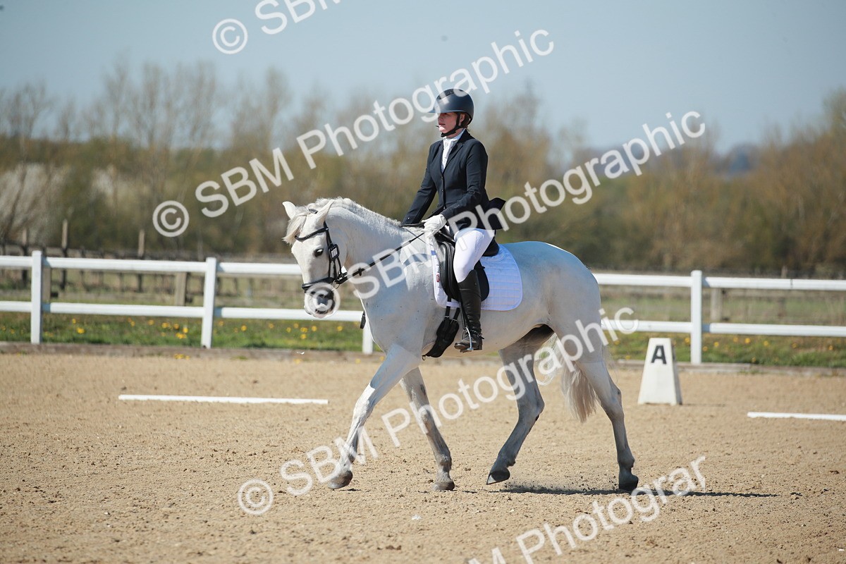 SJ3_0954 - Class 2-5-4-6-7 - Paso Doble-Golega-Sevilla-Lisboa-Novato