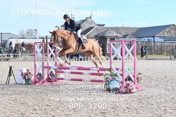 BPP_3290 - CLASS 2  Club/ Unaffiliated 80cms Open