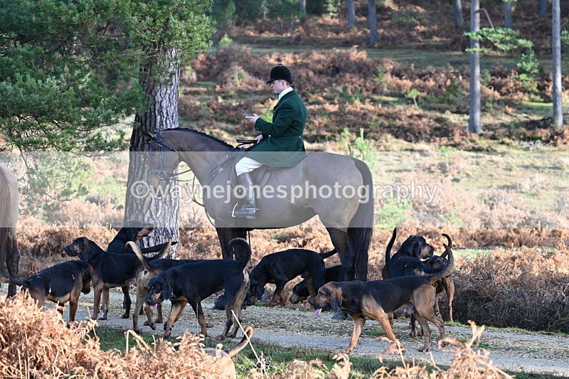 WJ7_7523 - Line 3 (no line 4 or 5)