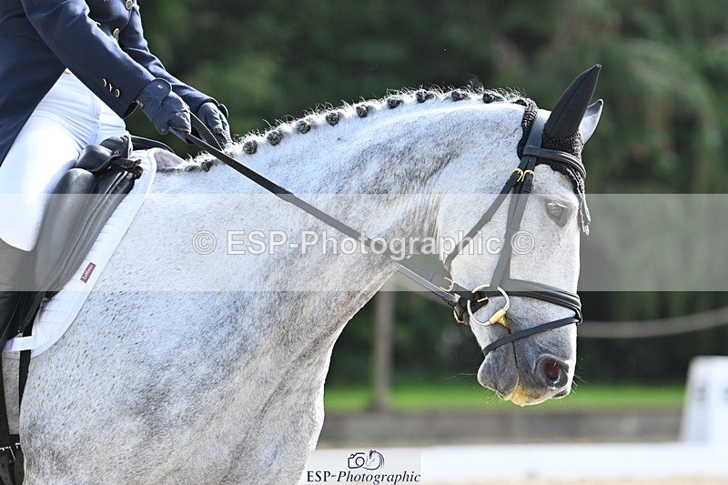 231019-121242-03039 - 119-COEUR.DE.LIONNE.J.Z-Isny.O'Donnell-DR