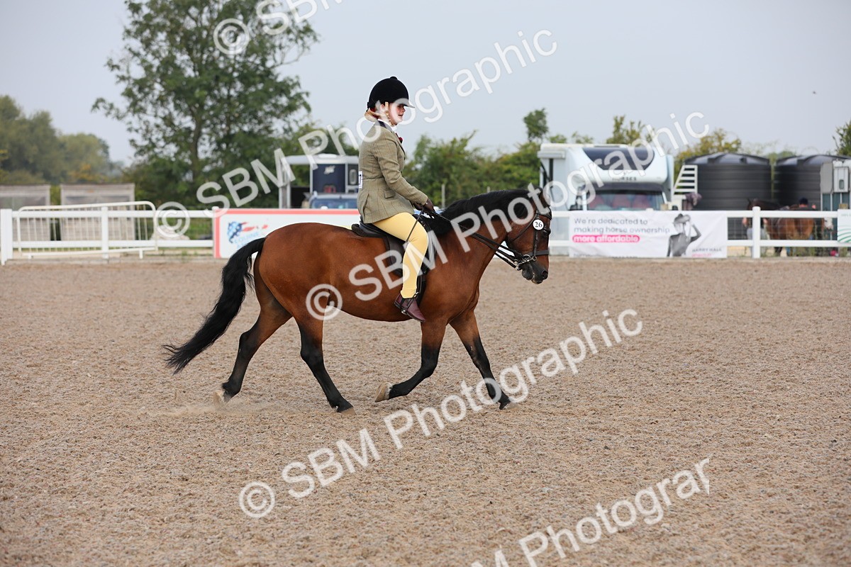 SBM_09623 - Class 301 Ridden M&M -Small Breeds