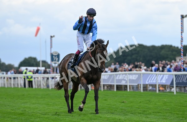 220825-159 Asfoora - Race 4 3.35pm Coolmore Wootton Bassett Nunthorpe Stakes