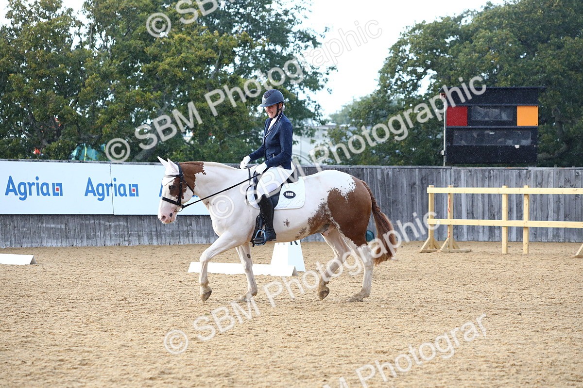 SBM_31608 - D11 - Small Tour Championship Prelim 1