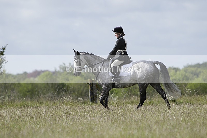 BVHT 140517 -100 - Class 1 DR Intermediate 14/05/17