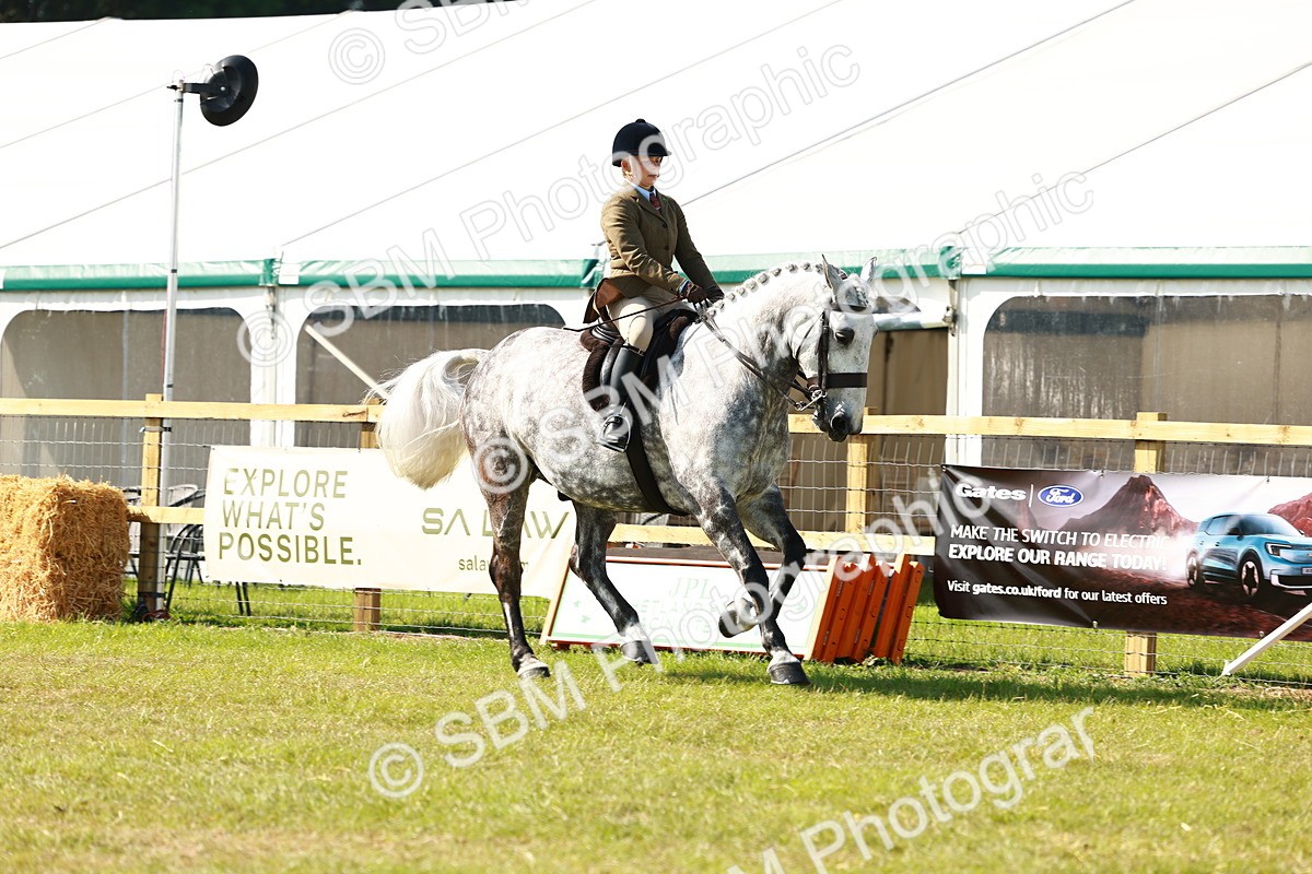 SBM_11947 - Class 66-69 - RIHS Ridden Hunters Inc Small Hunter