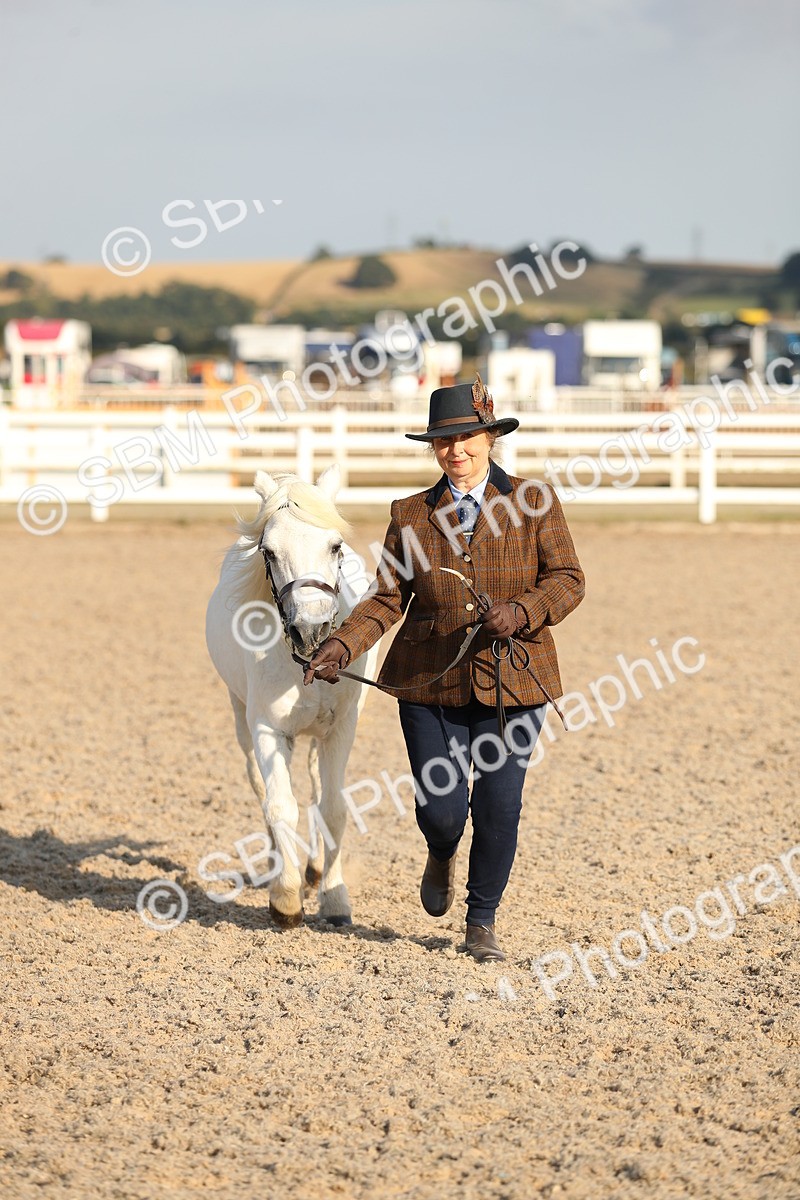 SBM_08968 - Class 29 IH Veteran Pony