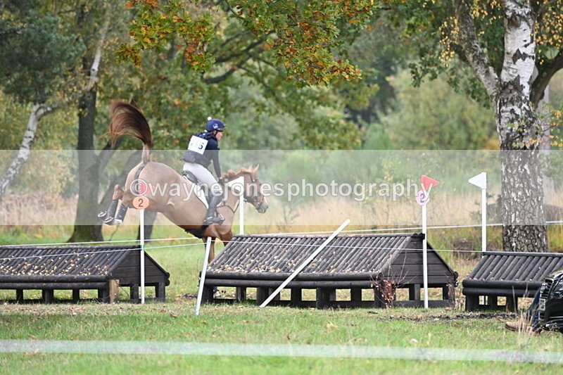 WJ6_3480 - 90cm Cam 1 Time 13:07 to 13:34