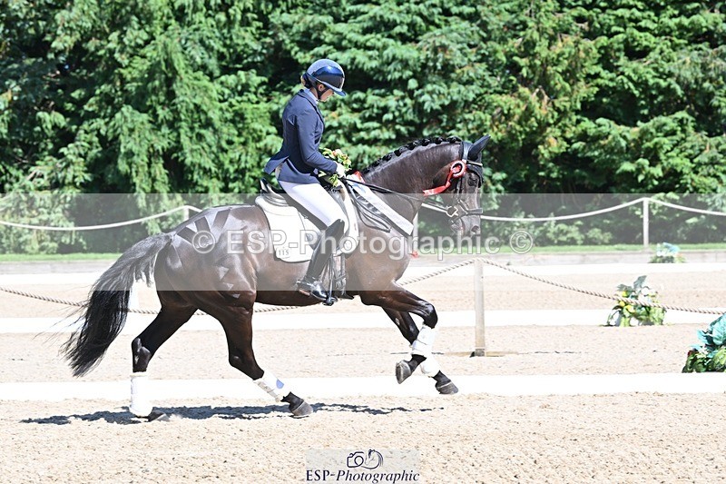 240811-153529-06687 - Adv Medium Gold