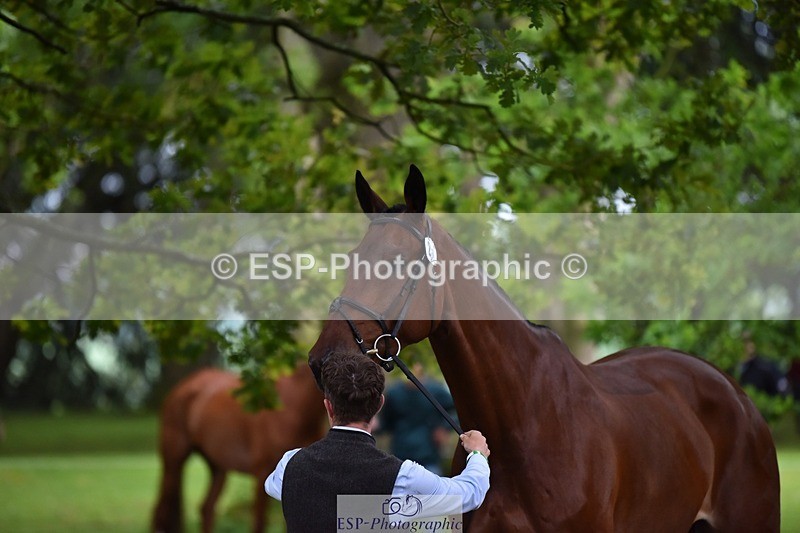 240522-171432-01474 - 256-QUINTUS-Tom_McEwen