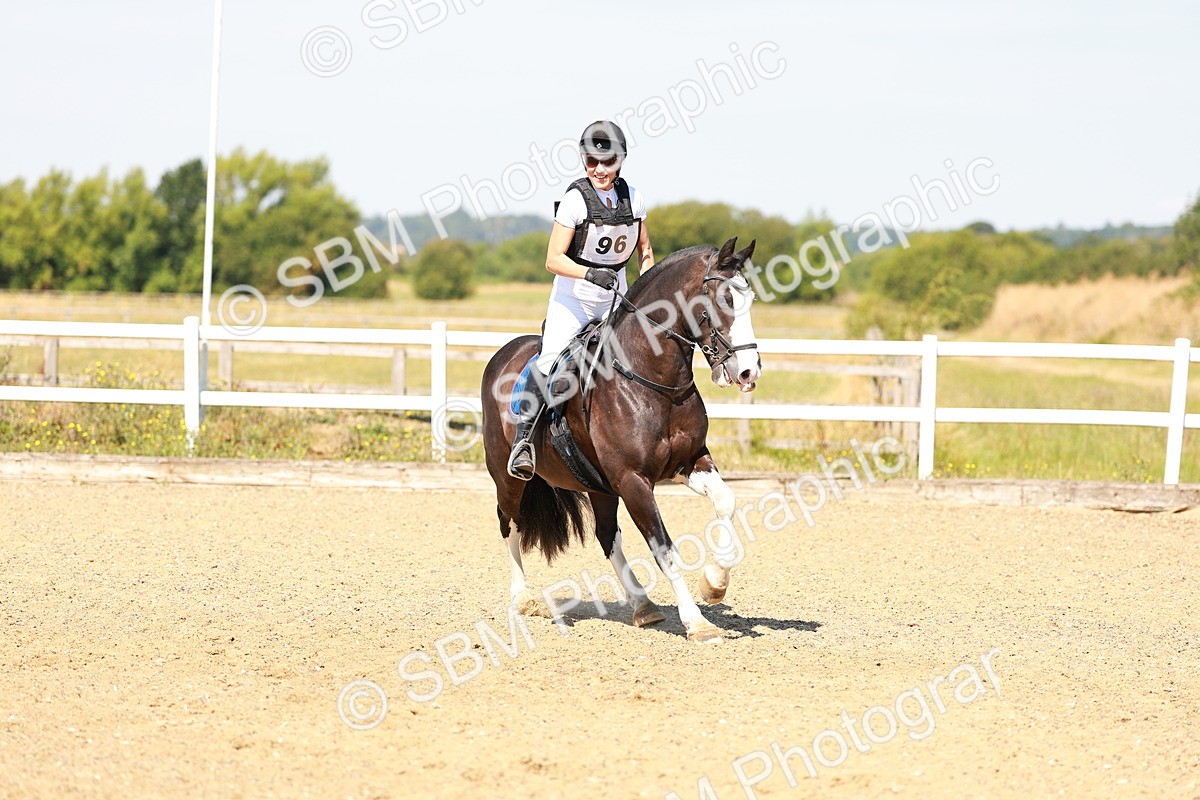 SBM_000947 - AE - 60cm