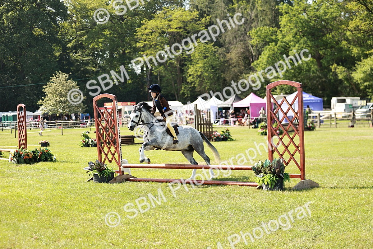 SBM_12655 - Class 106-107 - BSPS LIHS Working Sports Pony