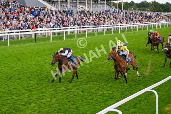 230824-Race 7-Treasure Time-0188 - Race 7 5.20pm Sky Bet Mile Handicap