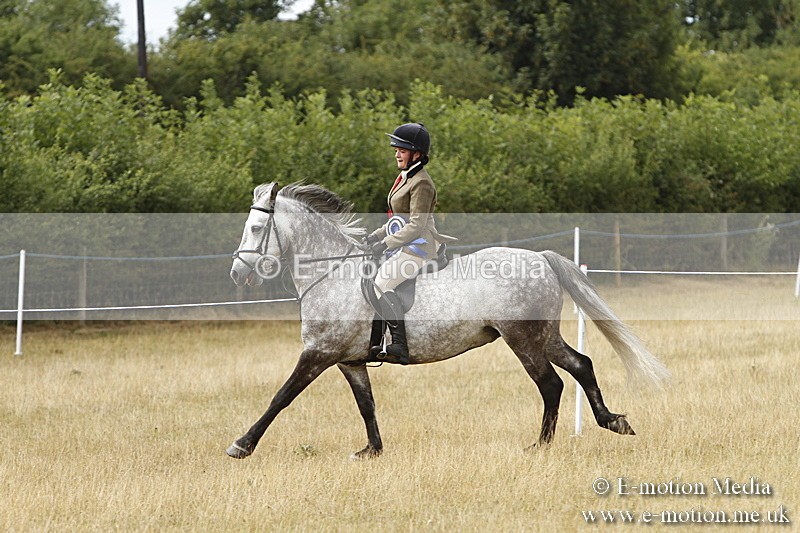 _BS_1035 - Working Hunter Championship BVRC Show 2018
