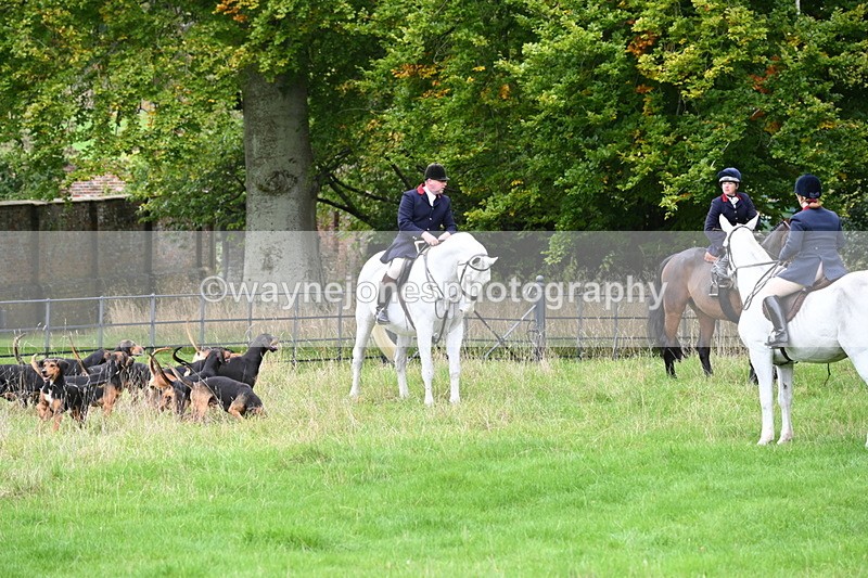 WJ6_0126 - Camera 2 Meet