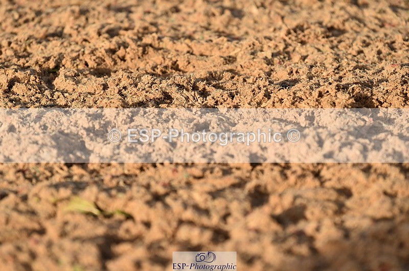 231104A-144934-02179 - Cls 13 Adv Medium 91