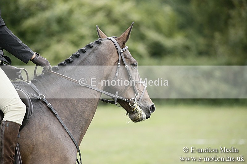 BVR080918 345 - BVRC Novice Dressage & CR 08/09/18