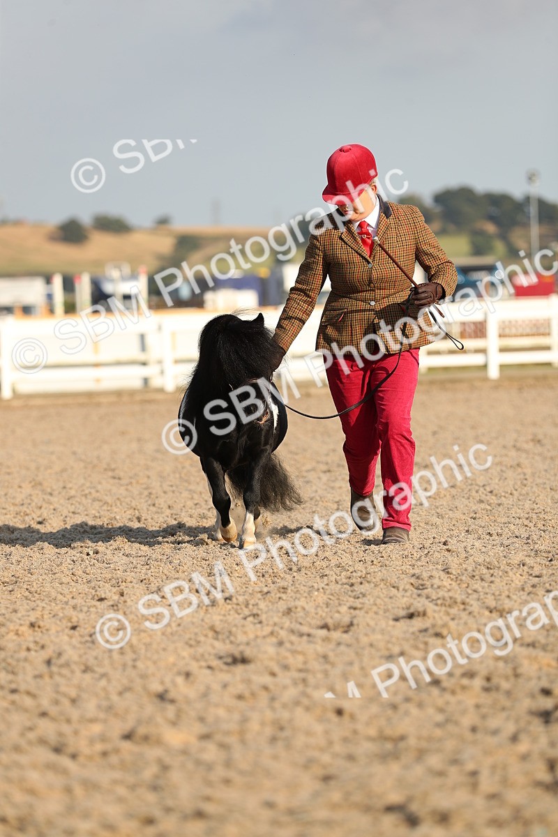 SBM_08998 - Class 29 IH Veteran Pony