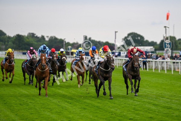 120724-Race 4-Karmology-6123 - Race 4 3.50pm Azets Handicap