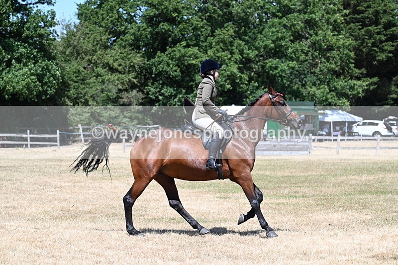 WJ7_3090 - Class 7 Riding Club Show Horse