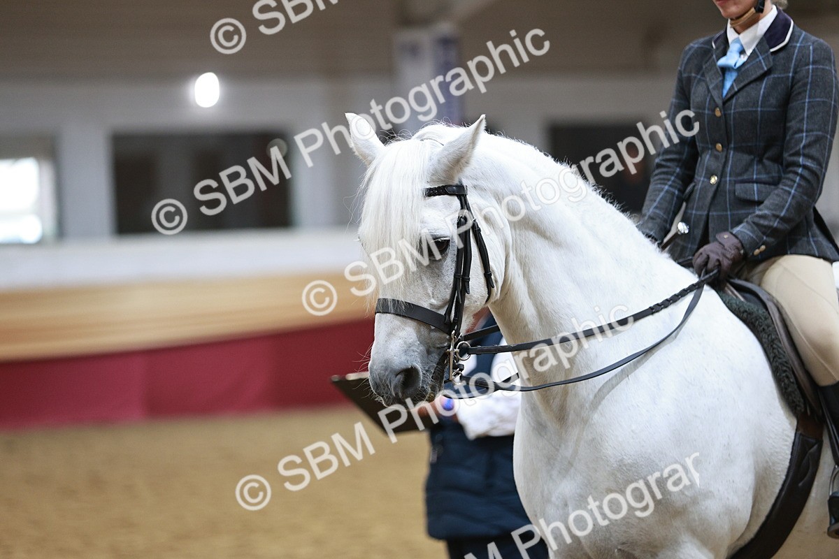 SBM_08893 - Class 12R - Regional Ridden Pre-Vet
